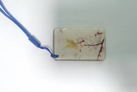 ISO14443A RFID NFC는 접근 제어 시스템을 위한 13.56Mhz NFC 에폭시 태그를 태깅합니다